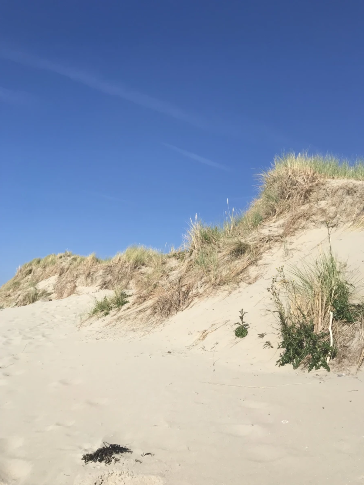 photo - Etoile aan Zee